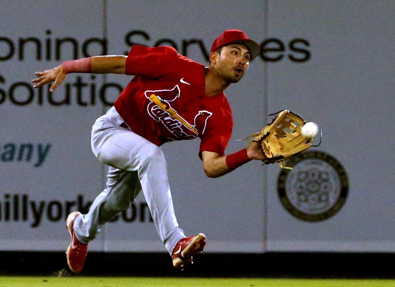 St. Louis Cardinals beat Washington Nationals 7-3